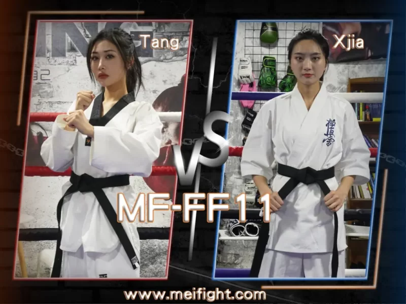 MF-FF11-Tang VS Xjia-格斗艺术
