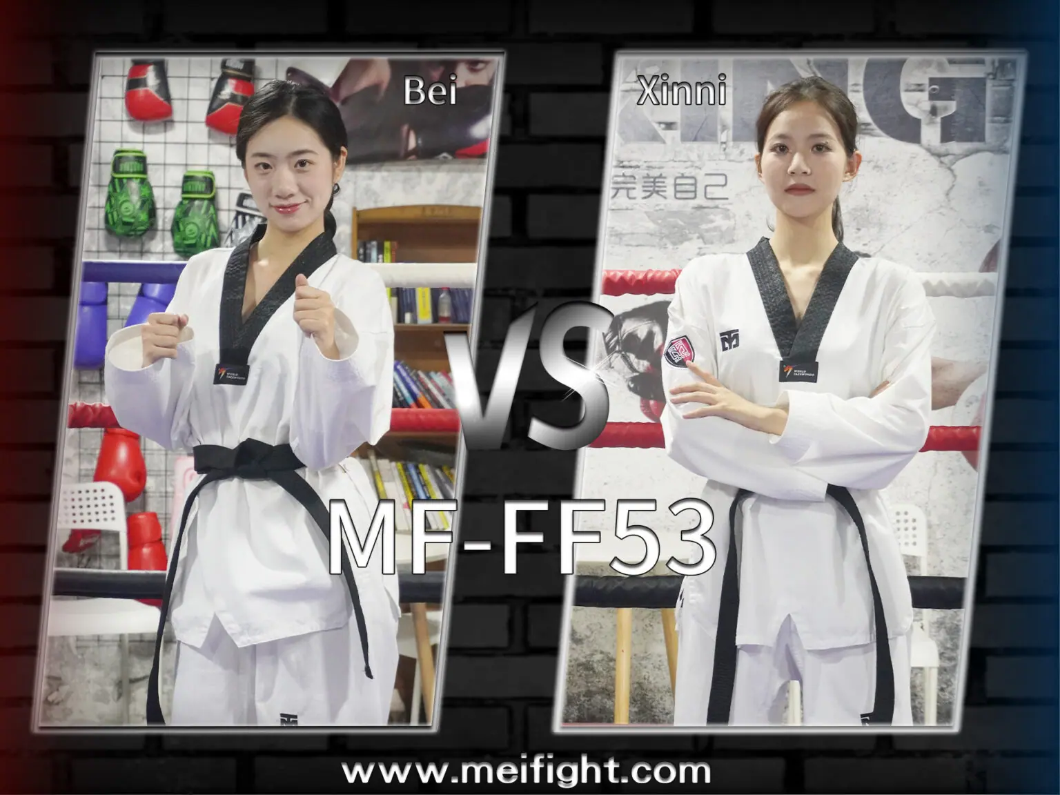 MF-FF53-Bei VS Xinni-格斗艺术