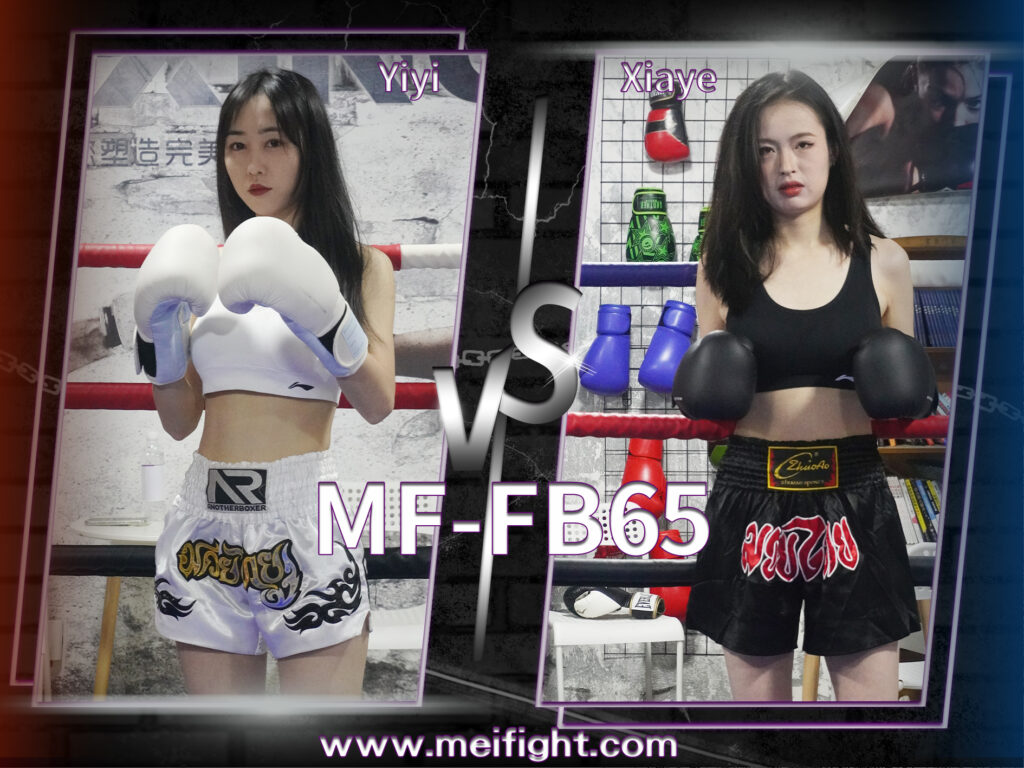 MF-FB65-格斗艺术