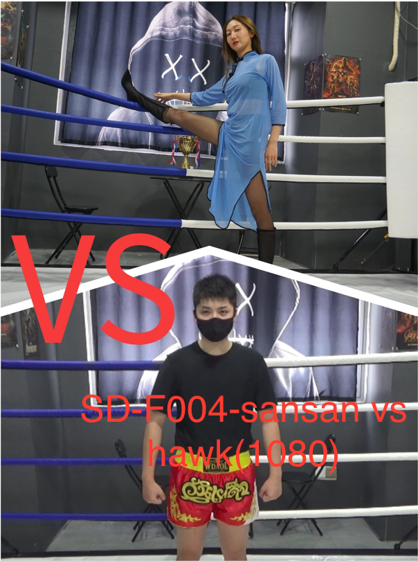 SD-F004 sansan vs hawk-格斗艺术