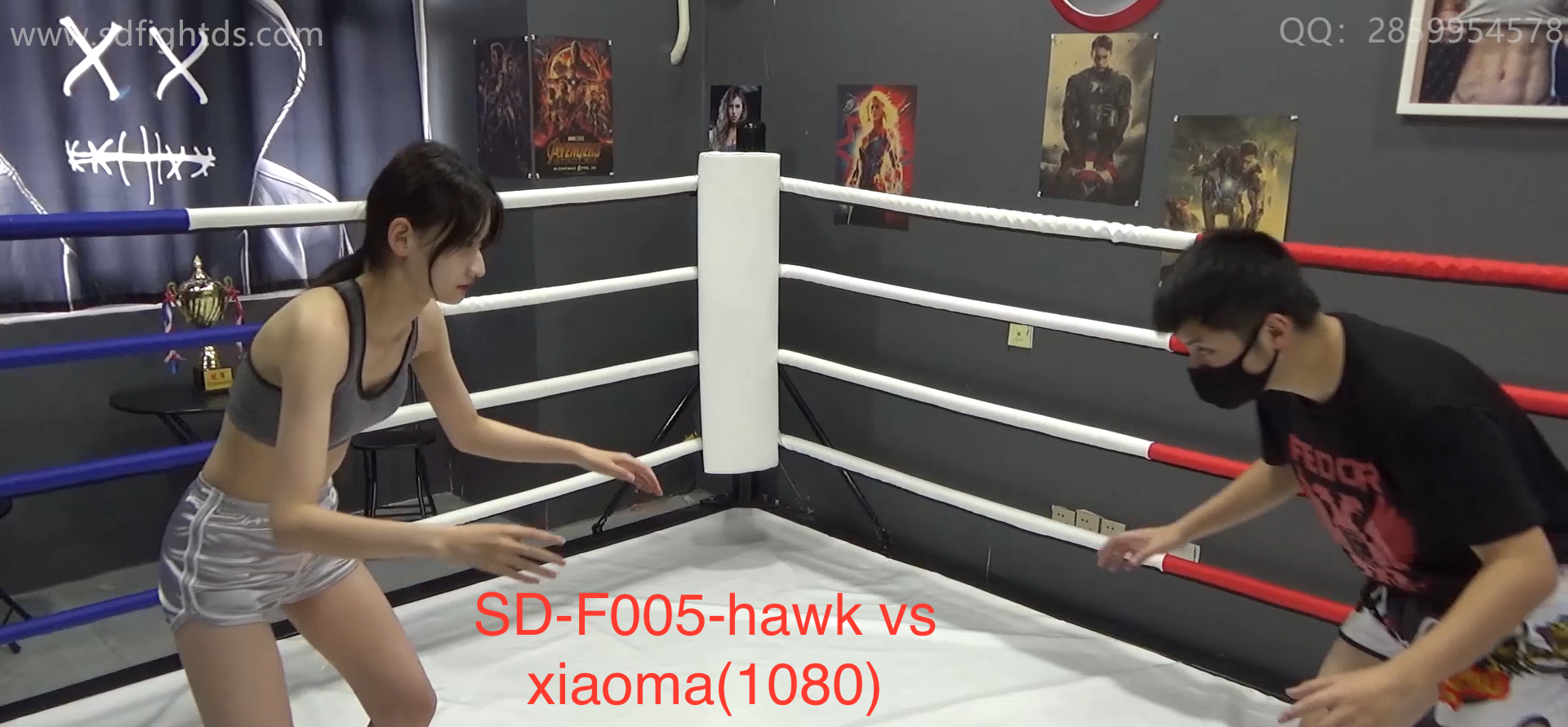 SD-F005-格斗艺术