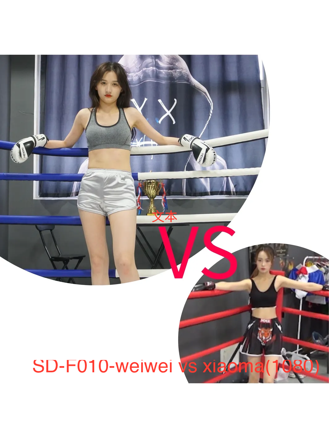 SD-F010 weiwei VS xiaoma-格斗艺术