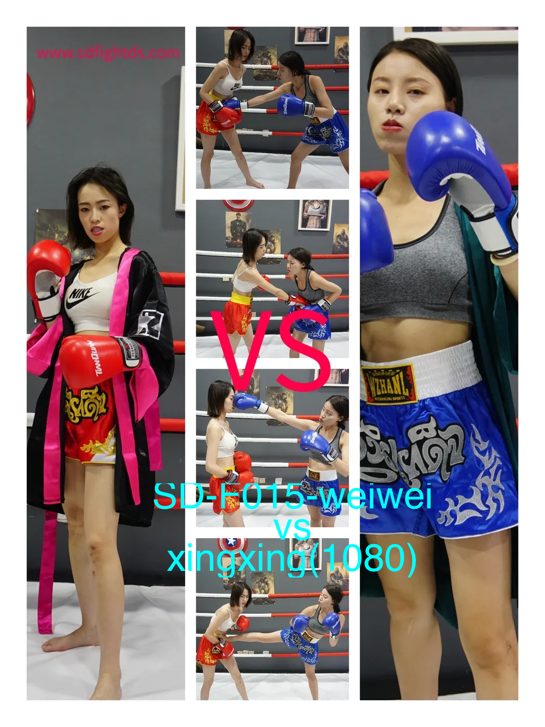 SD-F015-格斗艺术