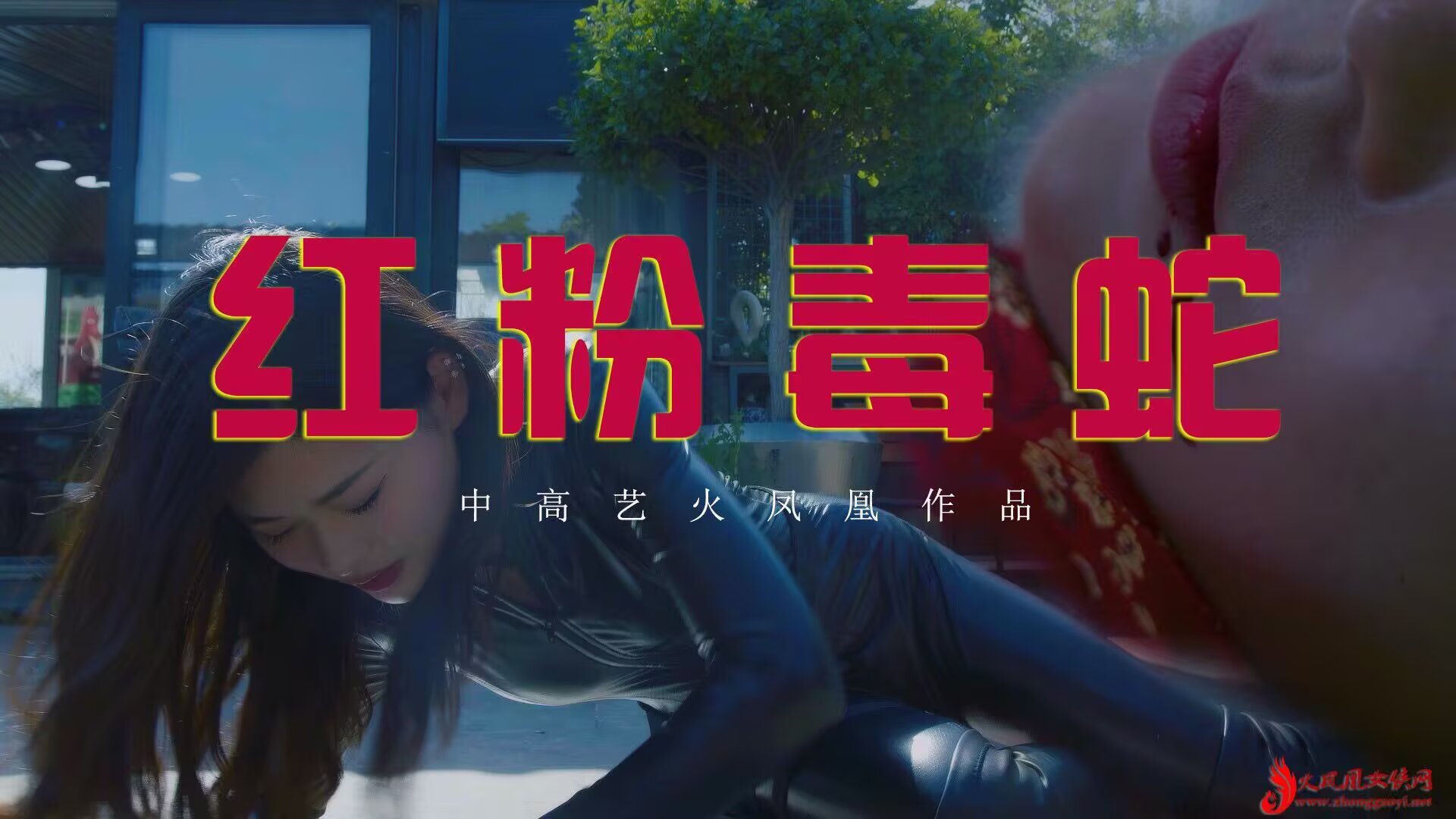 红粉毒蛇-格斗艺术