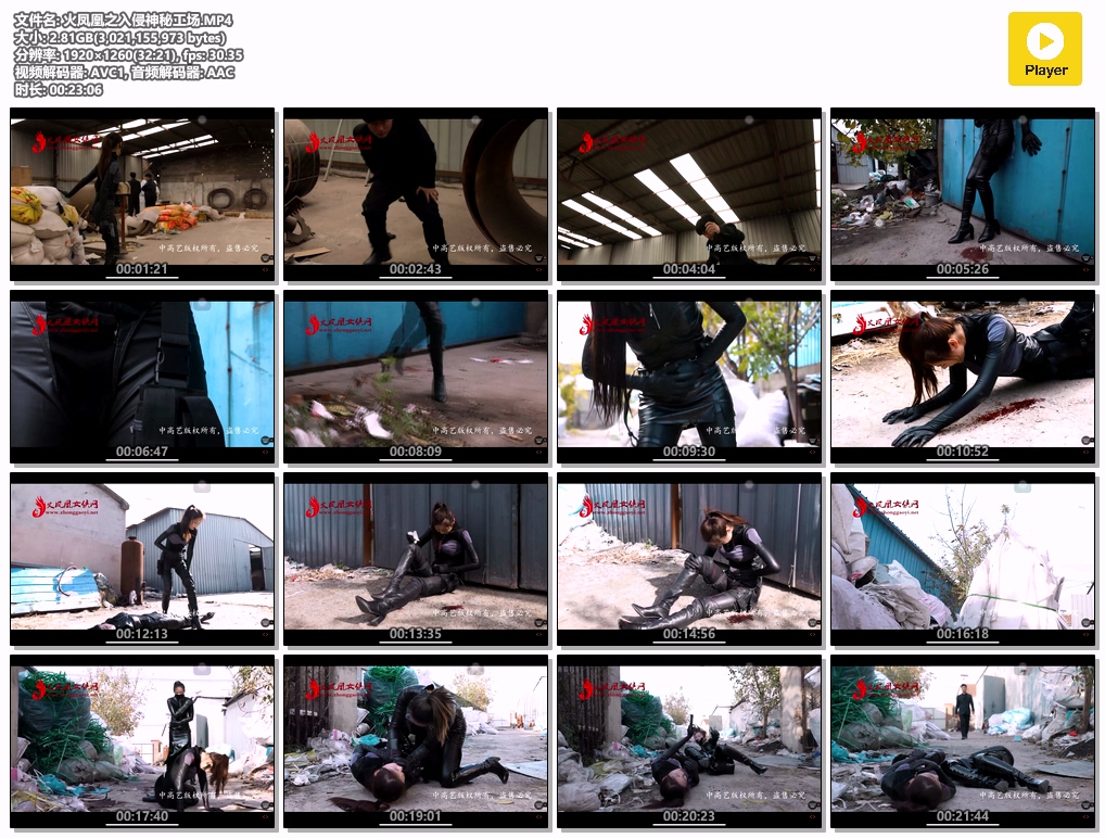 入侵神秘工场-格斗艺术