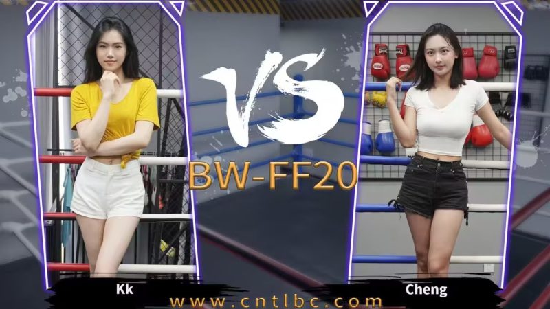 BW-FF20-Kk VS Cheng-格斗艺术