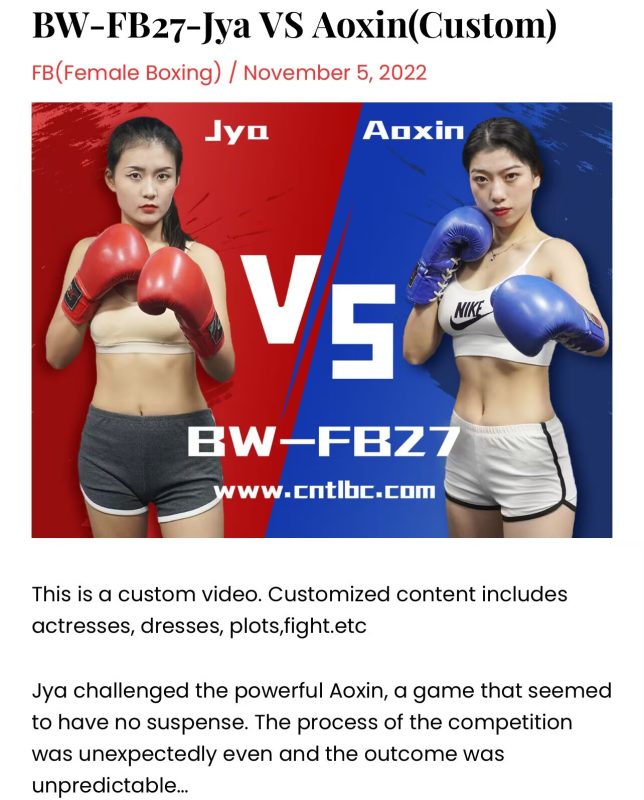 BW-FB27-JyaVSAoxin-格斗艺术